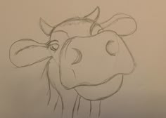 a drawing of a cow's head is shown in this image, it appears to be drawn on paper