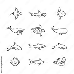 different types of sea animals are shown in this hand - drawn drawing technique, which is easy to draw and can be used for coloring