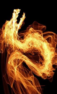 an abstract photograph of fire on a black background