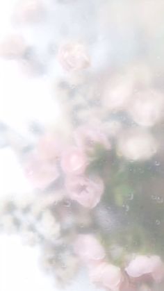 pink flowers are floating in the water on a sunny day