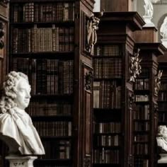 there are many bookshelves and statues in the library