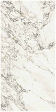 Arabescato Vagli Lucido Porcelain Slab Matte single piece Arabescato Vagli, 12x24 Tile, Wood Ceramic Tiles, Porcelain Countertops, Porcelain Slab, Interior Design Classes, Exterior Fireplace, Shower Wall Tile, Pebble Tile