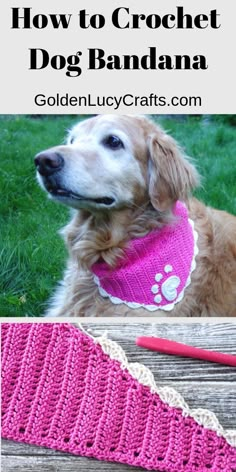 a dog wearing a pink crochet collar with the words, how to crochet dog bandana