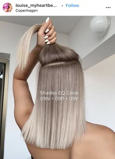 Shades Eq Toner Formulas Blonde, Shades Eq Blonde Toner Formulas, Ash Blonde Hair Color Ideas, Toner Formulas, Ash Blonde Hair Color, Toner For Blonde Hair, Hair Platinum Blonde, Hair Formulas, Redken Hair Color