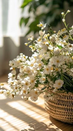 white flowers in a basket sitting on a table with sunlight coming through the window behind them