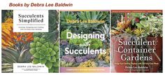 three books with different plants on them in front of the same book title, including succulents and succulents