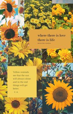 yellow sunflowers with the words, where there is love there is life