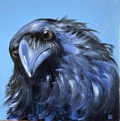 an oil painting of a black bird on a blue background, with the head turned to the right