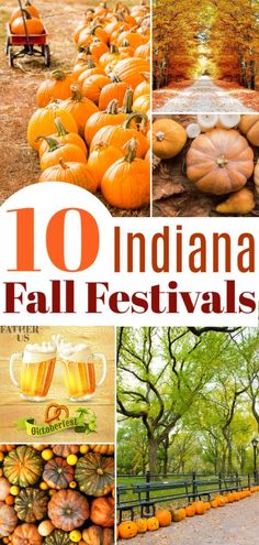 the top ten indiana fall festivals