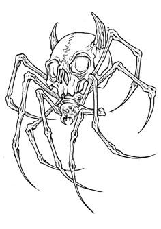 a black and white drawing of a spider