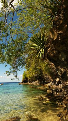 the water is crystal blue and clear with rocks on both sides, and trees overhanging it