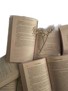 an open book sitting on top of each other with flowers growing out of the pages