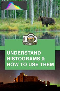 an image of a bear in the woods with text that reads, understand histograms and how to use them