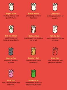 the different types of cats that can be seen in this graphic diagram, which shows how they