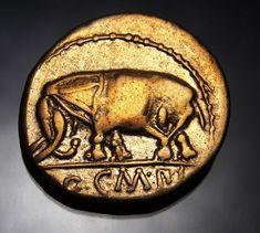 a gold coin with an image of a bull on it