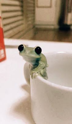 a frog sitting on top of a white cup