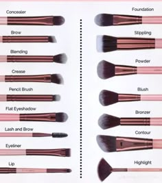 Types Of Makeup Brushes, Makeup Brush Uses, Clean Makeup Brushes, Essential Makeup Brushes, Beginners Eye Makeup, Makeup Inspired, Eyebrow Makeup Tips