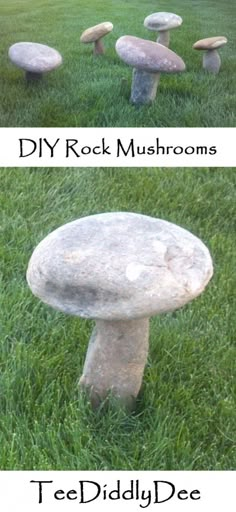 two pictures showing different types of mushrooms in the grass, and one with rocks on it