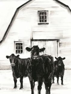 three cows standing in front of a barn with a white building behind them and one black cow looking at the camera