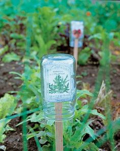 a glass jar sitting on top of a wooden stick in the middle of a garden