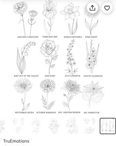 an image of flowers and their names