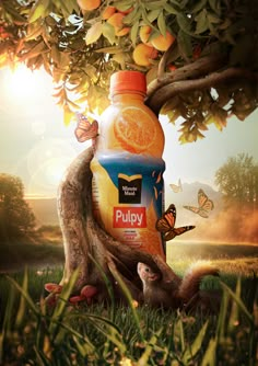 an orange juice bottle sitting on top of a tree next to a bird and butterflies