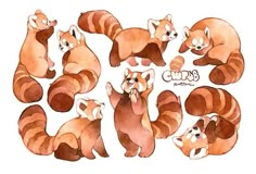 a group of red pandas sitting next to each other