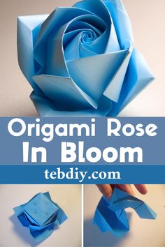 how to make an origami rose in bloom