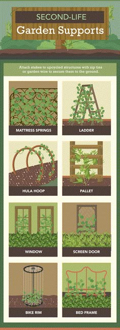 an info sheet showing different types of plants