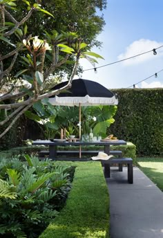 an umbrella is set up on a table in the middle of a garden with lush greenery