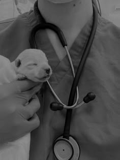 a black and white photo of a baby lamb being held by a person wearing a stethoscope