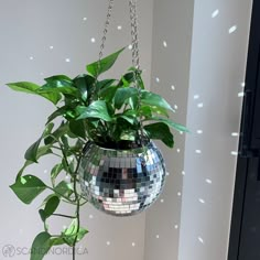 a mirror ball hanging from a planter filled with green leaves on a white wall