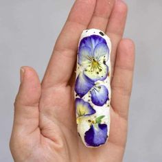 a hand holding a purple and white flowered object in it's palm area