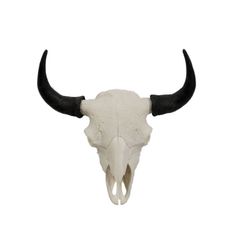 a bull's skull with long horns is shown against a white background