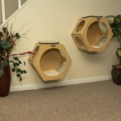 two wooden bird houses on the wall next to a potted plant and some plants