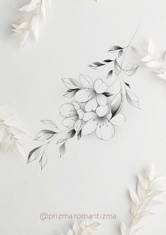 an artistic drawing of flowers and leaves on a white background with the words prima romantizza written below it