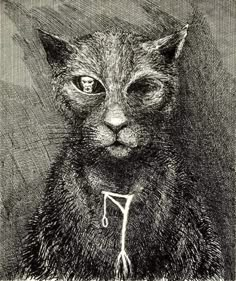 a drawing of a cat with the caption if was the shape of the gallop?