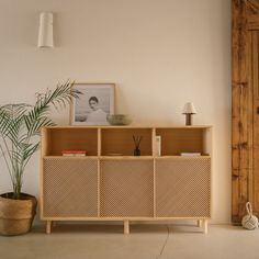 a wooden cabinet sitting next to a potted plant