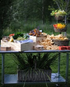 a table with food on it in the grass