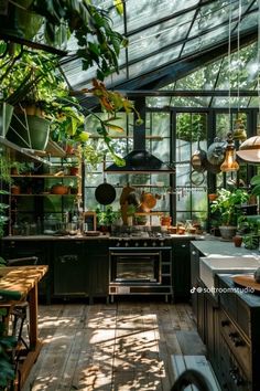 a kitchen filled with lots of potted plants and hanging lights above the stove top