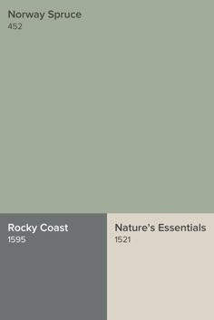 an image of the same color scheme as it appears in this website ad for norway spruce