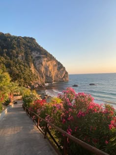 a path leading to the beach with flowers growing on it