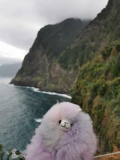 a stuffed animal is sitting on the edge of a cliff overlooking the ocean and mountains