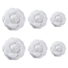 six white flowers are arranged in the shape of a flower, on a white background