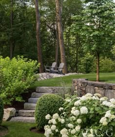 a stone wall with steps leading up to it and white hydrangeas in the foreground