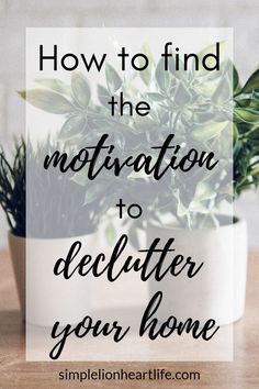 a potted plant with the words how to find the motivation to declutter your home