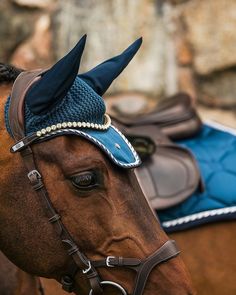 a close up of a horse's head wearing a blue and white hat with horns