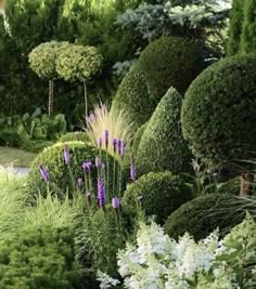 the garden is full of different types of plants and shrubs, including grass, bushes, and flowers