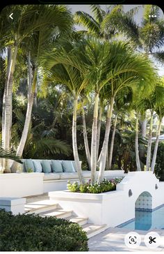 a pool surrounded by palm trees and blue cushions in the middle of an outdoor area