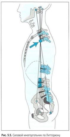 Human Skeleton Anatomy, Craniosacral Therapy